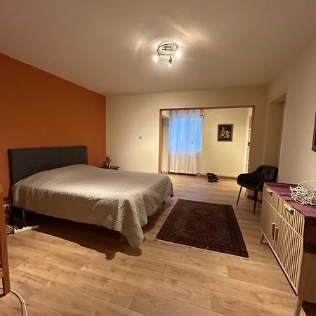 Bel Appartement En Rdc Proche Strasbourg Nice Apartment Very Near Strasbourg Eksteriør billede